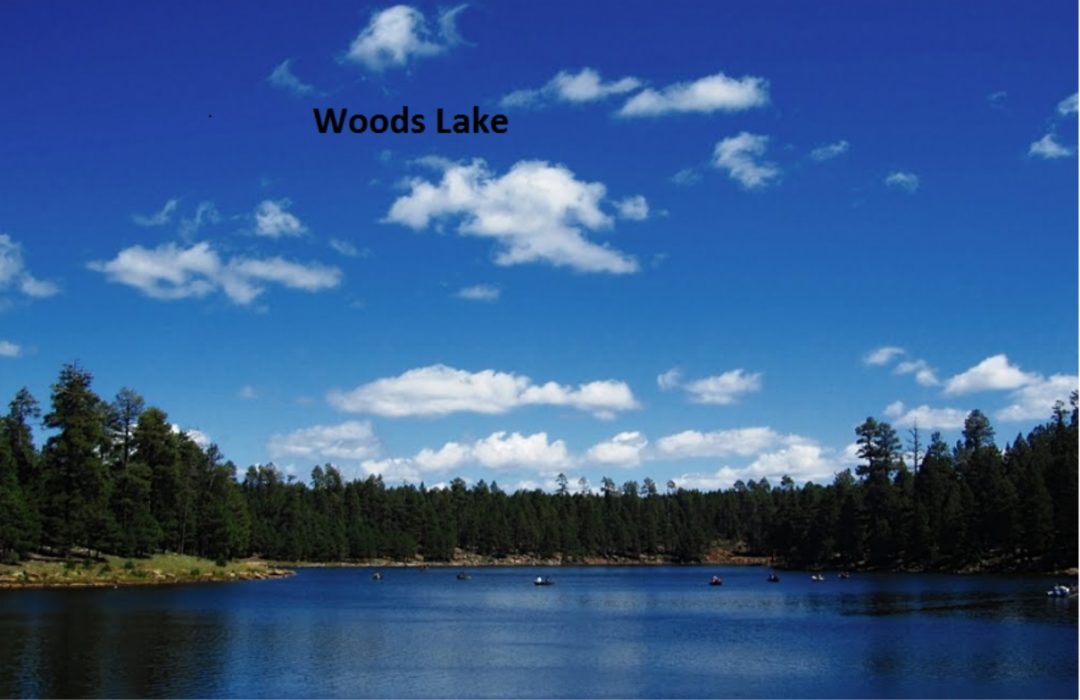 Woods Lake View 1