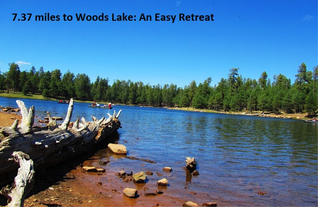 Woods Lake View 2